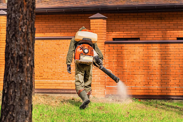 Bed Bug Clearance Verification and Documentation in Ridgeland